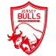 Jersey Bulls